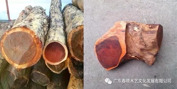 血檀和小葉紫檀到底有多像？（圖文并茂）(圖1)