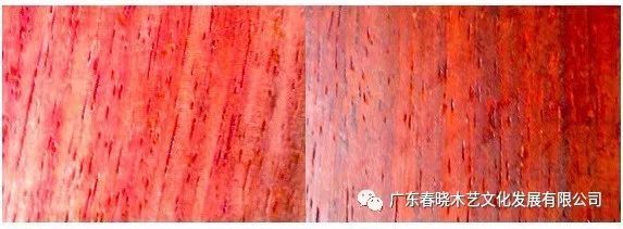 血檀和小葉紫檀到底有多像？（圖文并茂）(圖4)