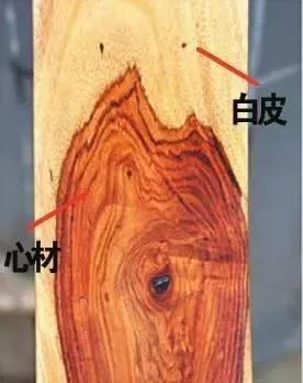 干貨分享，助您挑選好家具！(圖5)